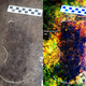 A photograph of one of the footprints found (left) and a digitally enhanced version (right).